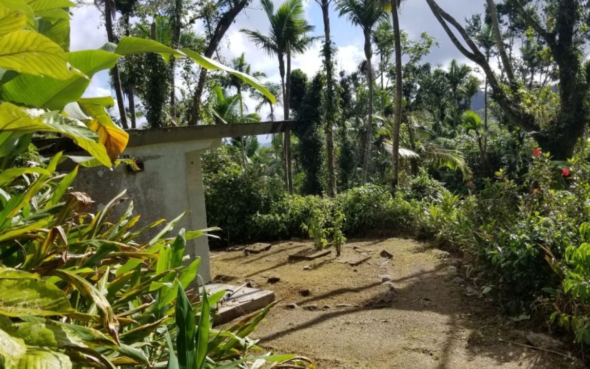 Mfs construction el yunque contracting Mfs construction el yunque contracting